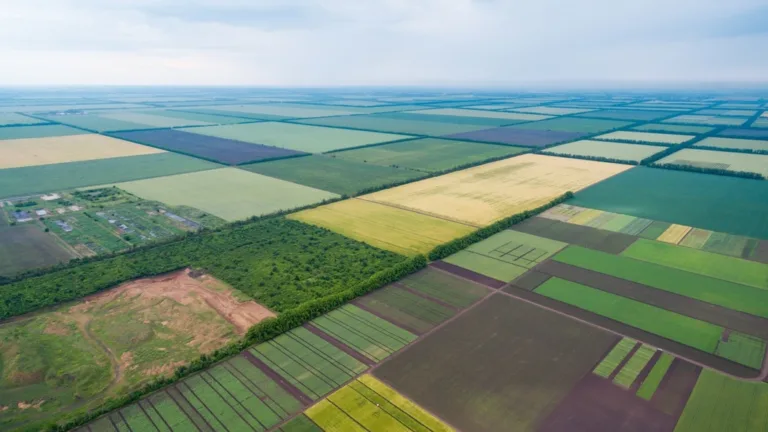 земля з повітря