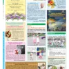 "Бучанські новини" № 34 - Зображення 2