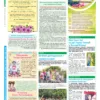 "Бучанські новини" № 35 - Зображення 2