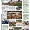 Газета Бучанські новини випуск 44 2020, стор.6