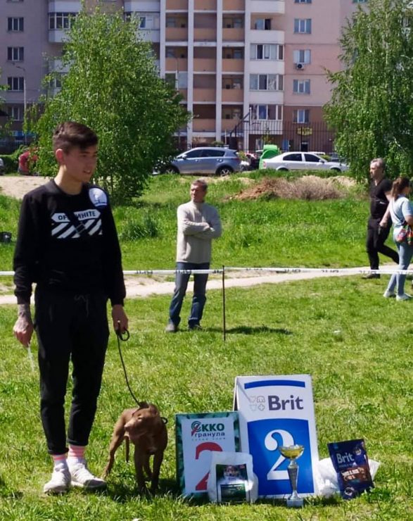 У Бучі песики демонстрували свої навички і отримували призи (ФОТО)