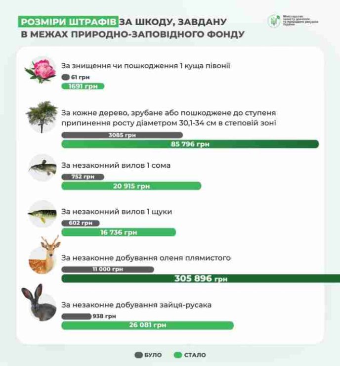 В Україні у 10 разів зросли штрафи за шкоду природі