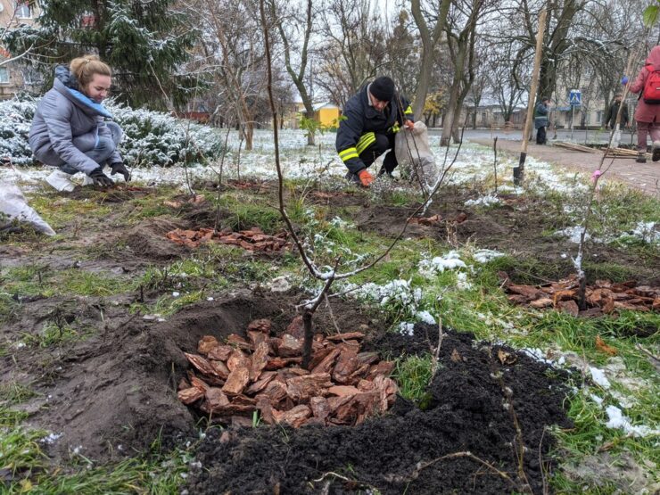 Бузковий гай висадили у Бучі на Склозаводі (ФОТО)