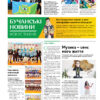 Газета Бучанські новини випуск 10 2024, стор.8