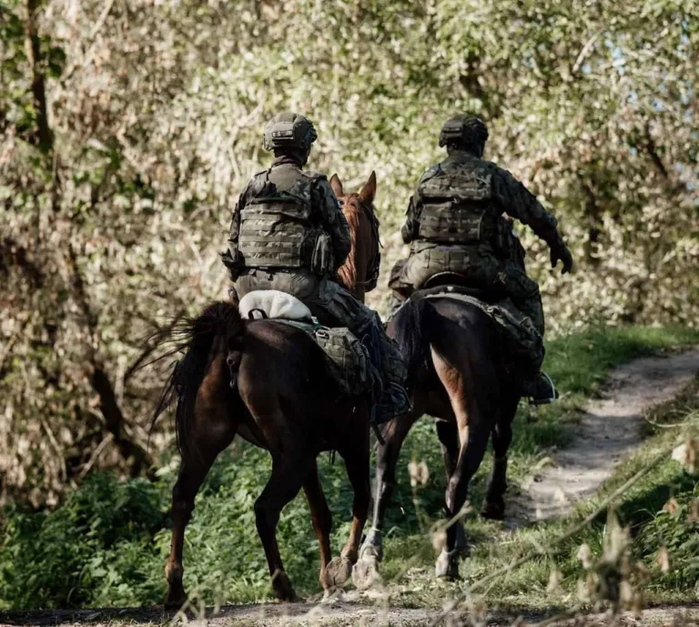 Кінний патруль