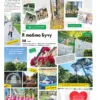 Газета Бучанські новини випуск 39 2024, стор.5