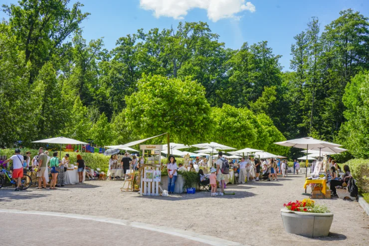 Крафт, підтримка, живе спілкування і музика – благодійний фестиваль Lokalist