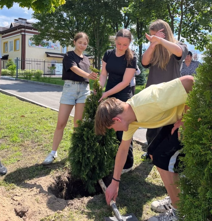 Алея туй від випускників Синяківського ліцею №15: зелений слід поколінь у Бучанській громаді